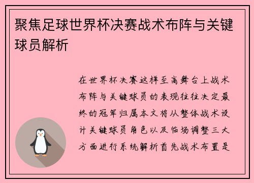 聚焦足球世界杯决赛战术布阵与关键球员解析